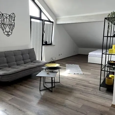 Moderne Mit Dachterrasse Apartment Gross-Umstadt
